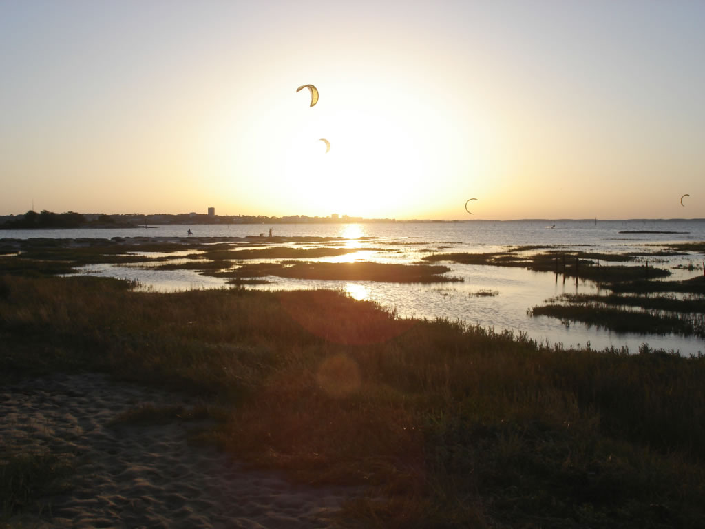 Bassin d'Arcachon