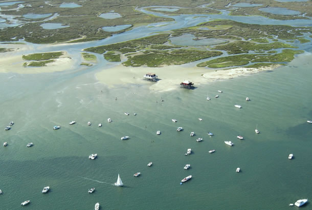 L'ile aux oiseaux